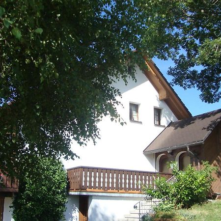 Mettenberger Hof - Pension Grafenhausen Εξωτερικό φωτογραφία